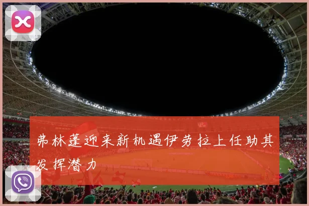 弗林蓬迎来新机遇伊劳拉上任助其发挥潜力